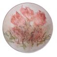   Les roses, décor pastel - Divers
